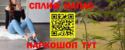 a pvp Ставрополь