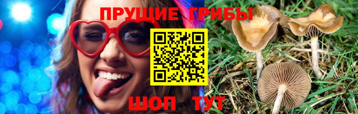 Галлюциногенные грибы мухоморы Нововоронеж